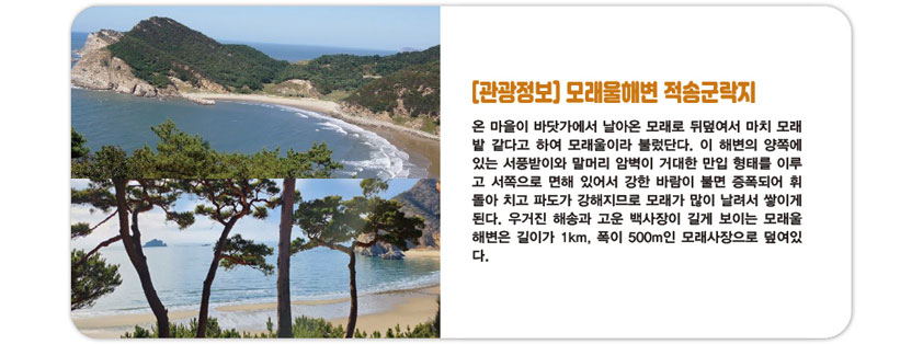 인천출발일정