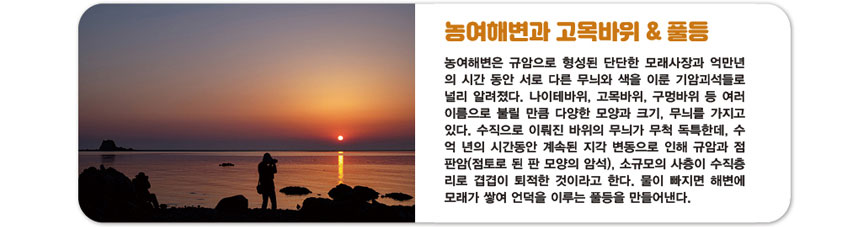 인천출발일정